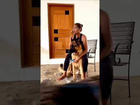 Lisa Hannah & Her Loyal Friend #shorts