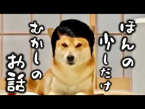 柴犬こむぎとあるじの少し前のお話【一気見】