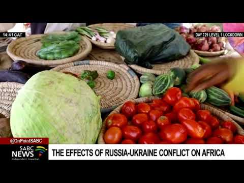 Russia-Ukraine Conflict | UN warns of severe consequences for Africa