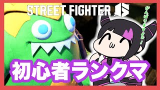 【スト6】こちら初心者！ランクやらせていただきますッ！！【 めぐみちゃんだよ！ 】