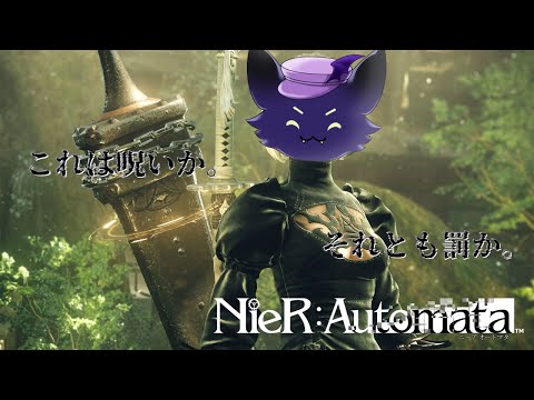 thumbnail__OuAAwt_kVk