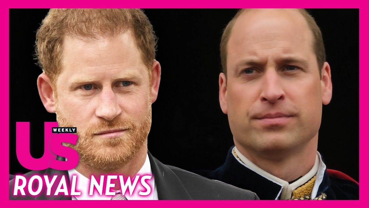 Prince Harry & Prince William Interacted At King Charles Coronation Ceremony?