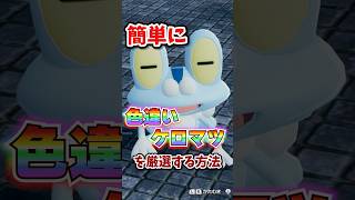 【朗報】色違いケロマツが超簡単に厳選できる!!! #ポケモンレジェンズza