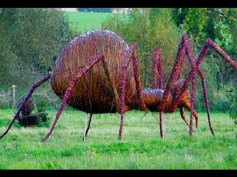 14 World's Largest Spiders - UCTTQAOiR_0DuyQPZ6Dg-LHA