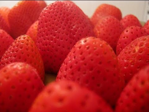 How-To Freeze Strawberries - UCj0V0aG4LcdHmdPJ7aTtSCQ