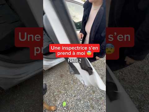 Tant que mon chien est en sécurité et à l’aise comme un roi, c’est le plus important 👑😌 #voiture