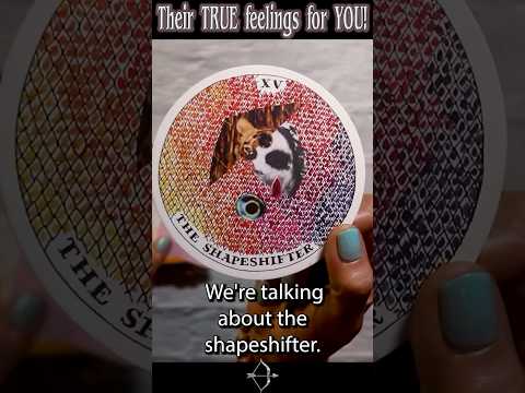 Pile 2 Pick A Card "Their TRUE feelings for YOU revealed" #tarot #pickacardreading