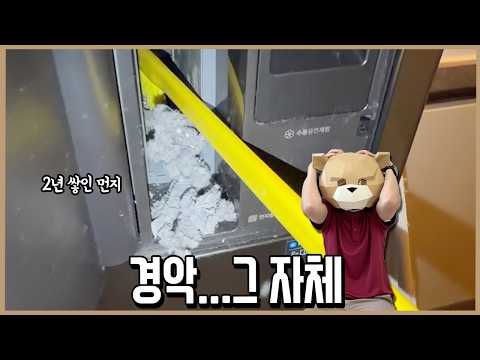 이 청소솔 꼭 <strong>사라</strong>!ㅣ내돈내산