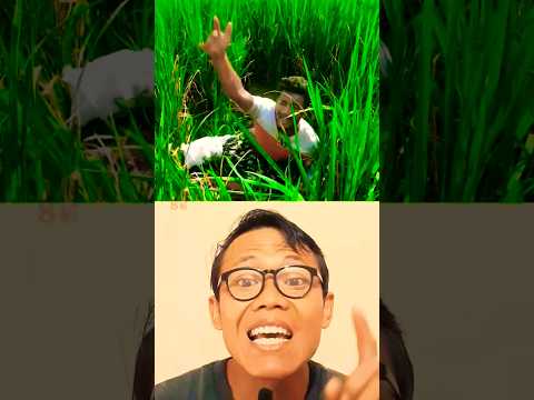 BEREBUT BIDADARI YANG MUNCUL DARI TV part2 #alurcerita #comedy #vrindavan #storytelling #viralshort