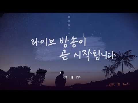 [10시부터 라이브] 영남의 민주진영 후보들에게 힘을! / 트럼프의 미국을 숭배하는 대한민국 극우세력 / 수학여행도 운동회도 없다는 학교 / 이라크도 공격하는 이스라엘 — 최강욱TV
