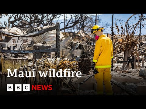 Maui wildfire: More than a thousand still missing after Hawaii wildfire - BBC News
