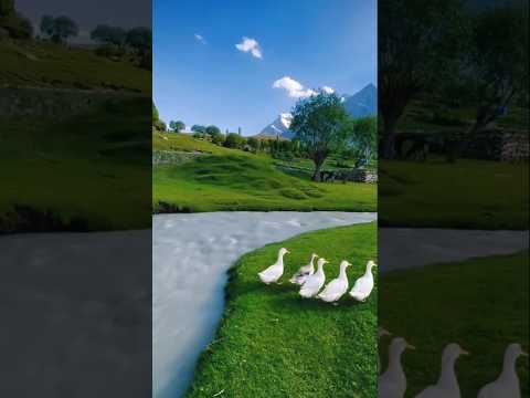 Unreal Places That Look Straight Out of a Dream 🌍✨ #unrealplaces #travelshorts #nature #shorts