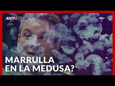 Macarrulla En La Mira Por La Operación Medusa | Antinoti