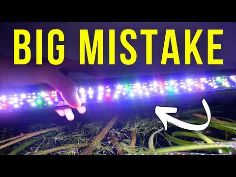 STOP Killing Your Plants! The Ultimate Planted Aqu In this video, I give you everything you should know before buying an aquarium light for your plante