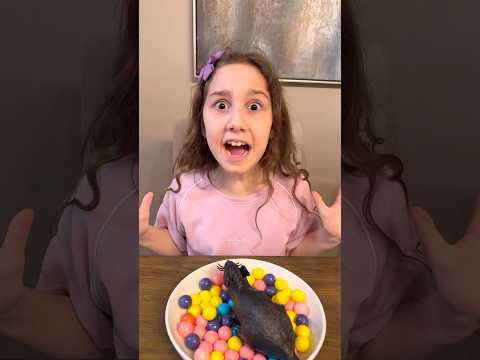 Sierra’s quick thinking solution helps avoid danger and saved her sister