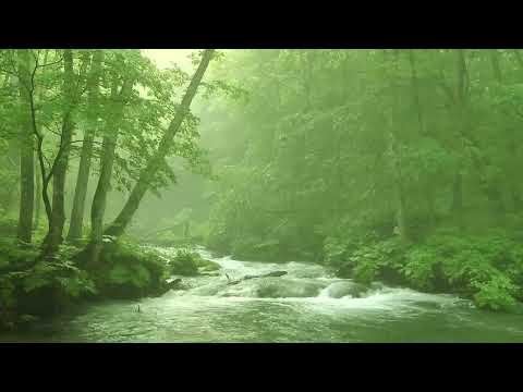 Japan Mountain Stream 1 Hour Series ① - Relaxing Background Music,  Poetry of Water