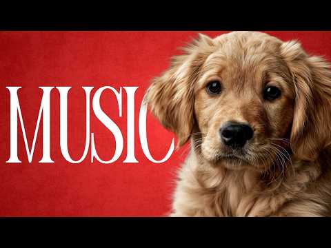 🔴 Music To Relax Your Dog - Endless Relaxation Playlist
