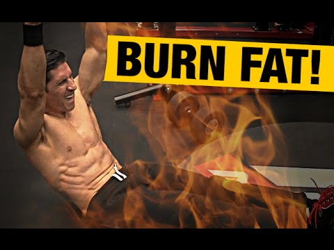 Fat Burning Ab Workout (HOME VERSION!!) - UCe0TLA0EsQbE-MjuHXevj2A