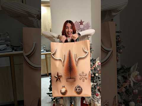 Mini advent kalendar - DAN 1🎁 #emifox #adventcalendar