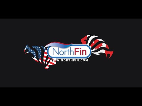 Northfin Fish Foods  2023 Welcome to Northfin YouTube channel.