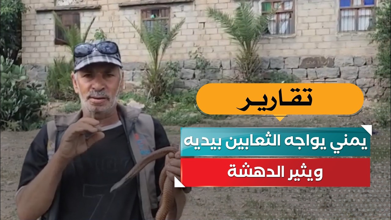 قناة السعيدة