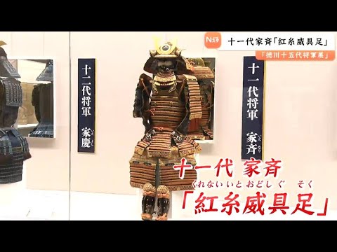 “赤備え”井伊家からの献上品！職人技が光る十一代・徳川家斉の甲冑【徳川十五代将軍 甲冑シリーズ⑤】