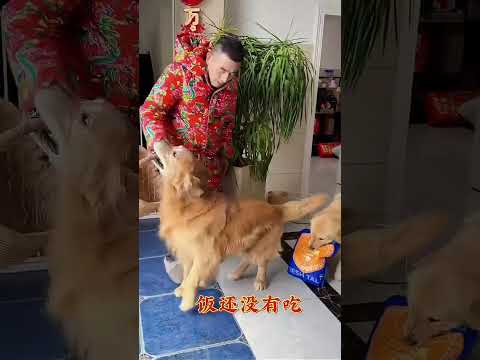 新年新气象！祝大家马年大吉！ ❤️#聪明旺豆豆