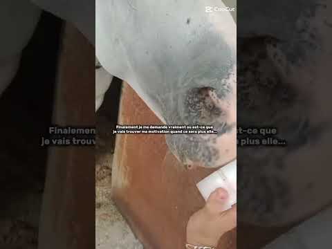 Vraie question😞💔#modelecapcut #sad #cavalierlife #horse #amour 