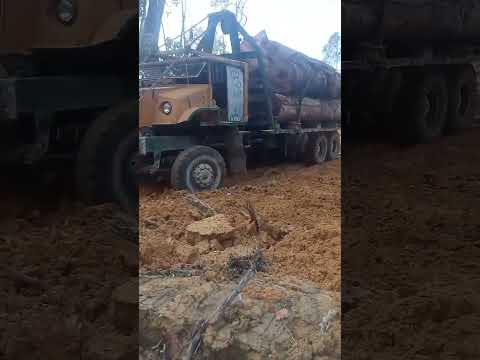 Truk balak #bulldozerofficial #stewong #offroad #logging  jadul