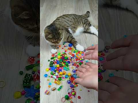 Cat Barsik ❤ Marbles Cubes 🔴🌈 Reverse video #marblerunandmore #cat #reverse