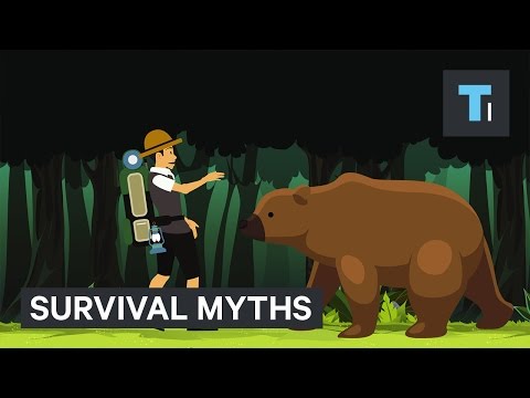 5 Survival Myths That Could Get You Killed - UCVLZmDKeT-mV4H3ToYXIFYg