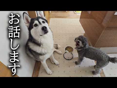 今まで黙っていたことをお話します...