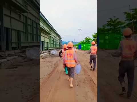 công việc hàng ngày, của sẹo Tv