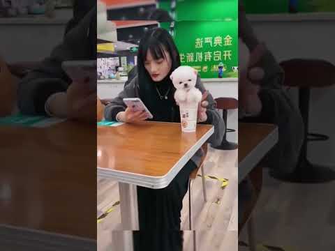 #All My Pets,One Big Hug#Caught with a Handful of#shortdfeeds#Fluffy Squad Goals#cute#tending#shorts