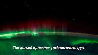 Магелланово Облако - Растворись и Растай (Official video)