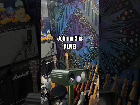 You know, you lose IQ points the longer you watch…