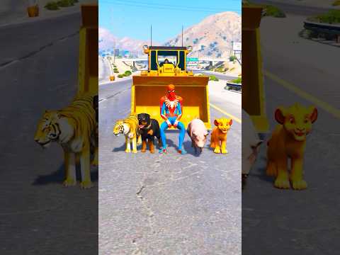 GTA V : DOGS <strong>TEACH</strong> US PURE LOVE 🥺| Part 571