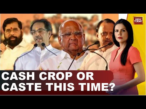 To The Point With Preeti Choudhry: Will Farmer Distress Matter In The Upcoming Maharashtra Polls?