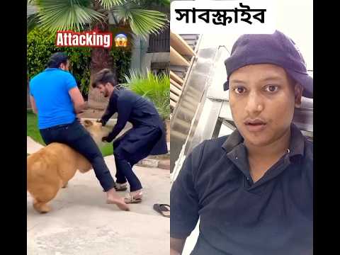 ছেলেটির সাথে কি করলো সঙ্গে হ 😭 #funny #comedy #wildlife #animals #duet #comedysc #danceperformance