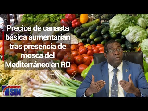 Entrevista a economista Antonio Ciriaco