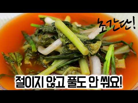 초간단 열무물김치✅절이지 않고 풀도 안쒀요!👍쉽게 만들어서 시원하게 즐기세요.