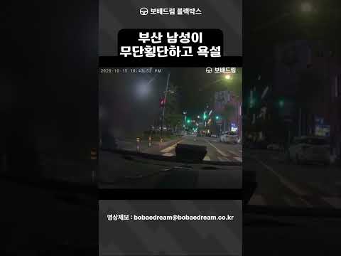 [보배드림 블랙박스] 부산 남성이 무단횡단하고 욕설