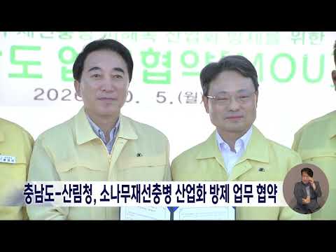 <strong>충남도</strong>-산림청, 소나무재선충병 산업화 방제 업무 협약/대전MBC