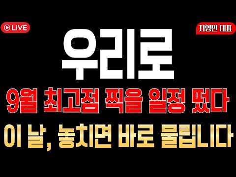 [우리로 주가전망] 9월 최고점 찍을 광검출기 일정! 이 날 놓치면 순식간에 물릴 수 있습니다