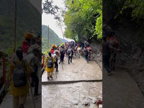 Kedarnath trip #viral #video #motivation #comedyskits #kabootarba #facts #new