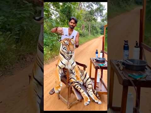 #zoo #comedy #comedyfilms #funny #comedymovies #movie #lifeisbutadream #funnycomedy #nothingimposi