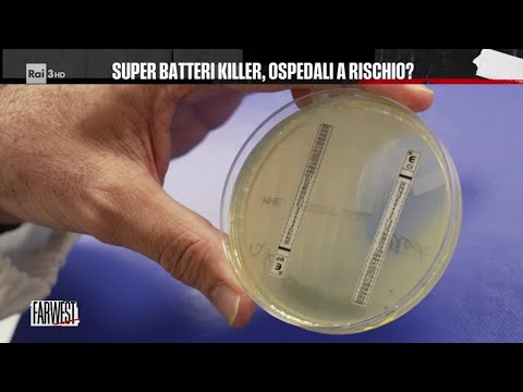 Super batteri killer, ospedali a rischio? - Farwest 17/06/2024