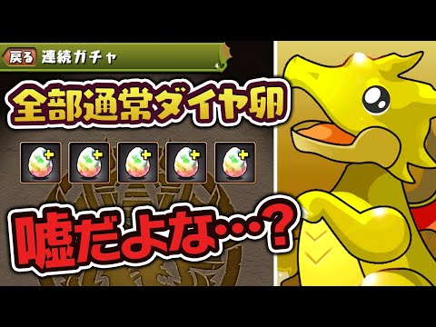 限界突破スーパーゴッドフェスを5回引いてチャレダン10に挑む！【パズドラ】