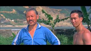 Young Rebel -  Fight Scene  - Shaw Brothers