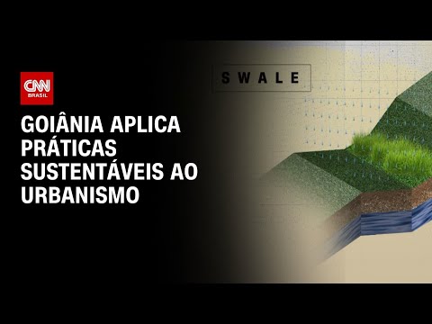 ​CNN na COP30: Técnica conhecida como Swale ajuda a evitar erosão | CNN NOVO DIA
